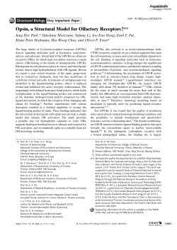 Opsin, a Structural Model for Olfactory Receptors?