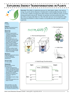 Exploring Energy Transformations in Plants