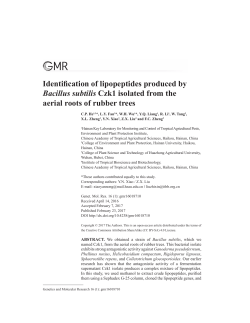Identification of lipopeptides produced by Bacillus subtilis Czk1