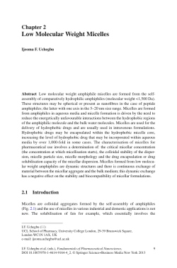 Low Molecular Weight Micelles