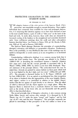 PROTECTIVE COLORATION IN THE AMERICAN SPARROW HAWK