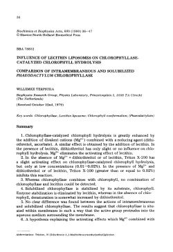 influence of lecithin liposomes on chlorophyllase