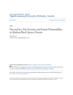 Fire Severity and Future Flammability in Alaskan Black Spruce Forests