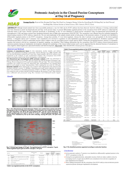 Proteomic Analysis in the Cloned Porcine Conceptuses at Day 14 of
