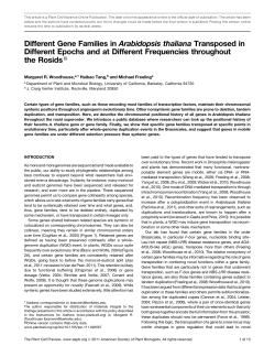 Different Gene Families in Arabidopsis thaliana