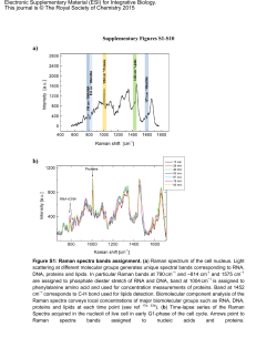 Supplementary Figures S1-S10 Electronic Supplementary Material