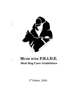 Mush with Pride - Guidelines