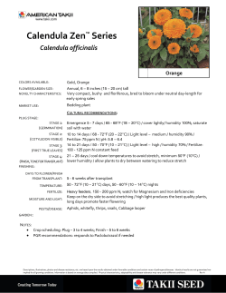 cultural information