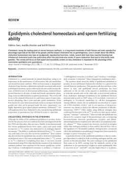 Epididymis cholesterol homeostasis and sperm fertilizing ability
