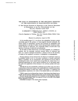 THE ROLE OF EPINEPHRINE IN THE REACTIONS PRODUCED BY