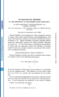 ON PROTEOLYTIC ENZYMES Papain Peptidase I was