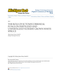 the role of ectomycorrhizal fungi on fertilized and unfertilized nursery