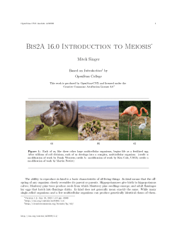 Bis2A 16.0 Introduction to Meiosis