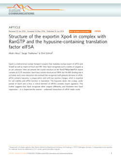 Structure of the exportin Xpo4 in complex with RanGTP and