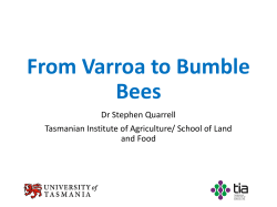 Berry Update Day_Varroa_Bumble bees