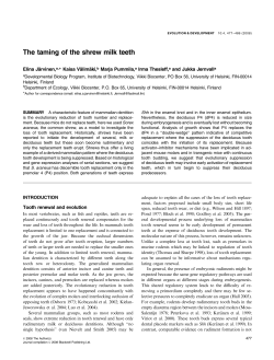 The taming of the shrew milk teeth