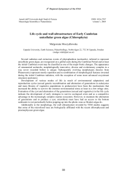 Life cycle and wall ultrastructure of Early Cambrian unicellular green