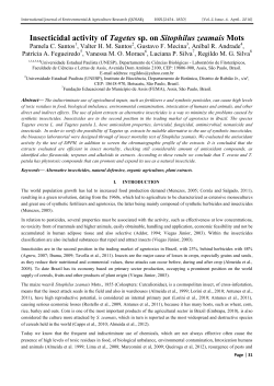 Insecticidal activity of Tagetes sp. on Sitophilus zeamais
