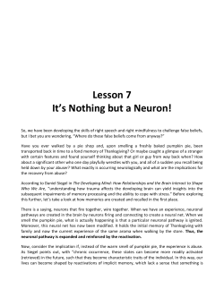 Lesson 7 It`s Nothing but a Neuron!