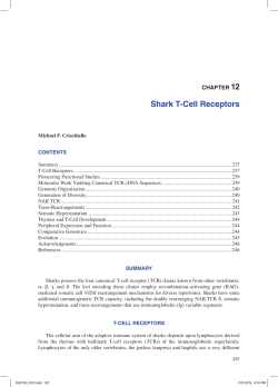 Shark T-Cell Receptors