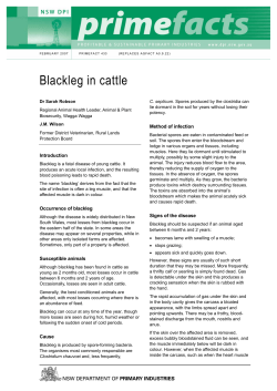 Blackleg in cattle - NSW Department of Primary Industries