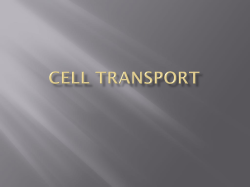 Cell Transport 2014