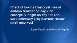 Effect of bovine blastocyst size at embryo transfer