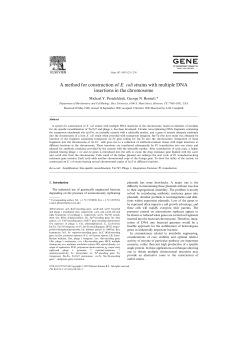 A method for construction of E. coli strains with multiple DNA