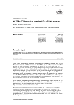 CPEB2-eEF2 interaction impedes HIF