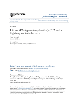 Initiator tRNA genes template the 3` CCA end at high frequencies in
