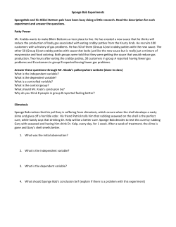 Sponge Bob Experiments experiment and answer the