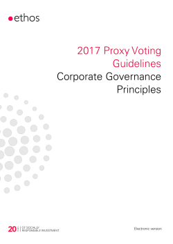 2017 Proxy Voting Guidelines Corporate Governance Principles