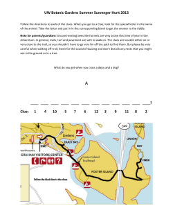 Scavenger_Hunt_summe..