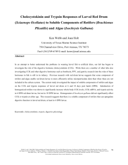(Sciaenops Ocellatus) to Soluble Components of Rotifers