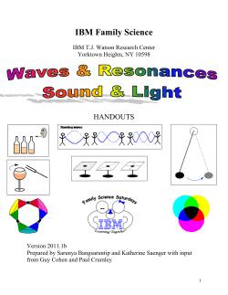 IBM Family Science - IBM Research People and Projects
