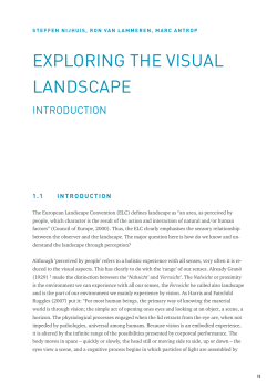 exploring the visual landscape