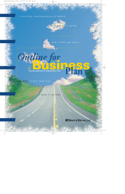 Outline for A Business Plan - UNM Business Plan Competition