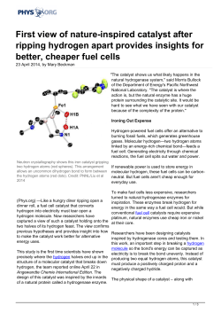 First view of nature-inspired catalyst after ripping