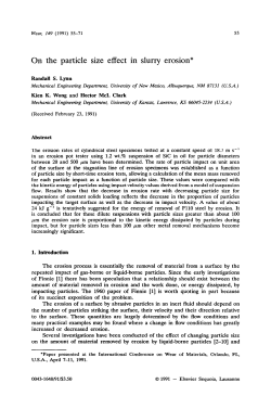 On the particle size effect in slurry erosion*