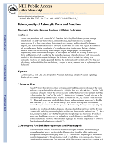 Heterogeneity of Astrocytic Form and Function