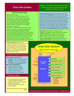 GS Gardens speaker notes - International Algae Competition
