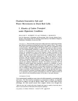 I. Kinetics of Cation Transport under Hypertonic