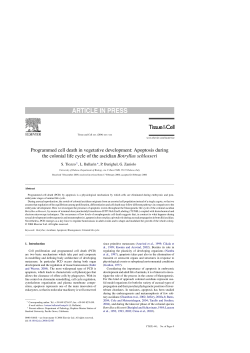 Programmed cell death in vegetative development: Apoptosis during