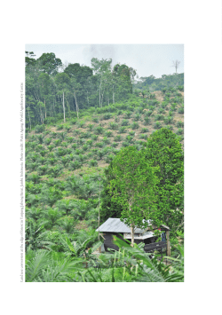 The opportunity costs of emission reduction