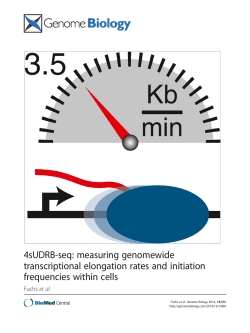 4sUDRB-seq: measuring genomewide transcriptional elongation