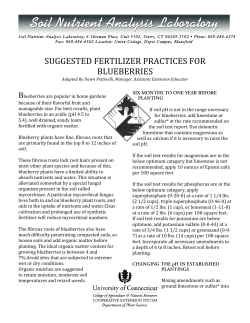 suggested fertilizer practices for blueberries