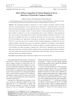 Effect of Phase Composition of Calcium Phosphate