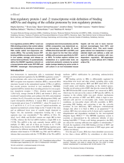 Iron regulatory protein-1 and -2: transcriptome