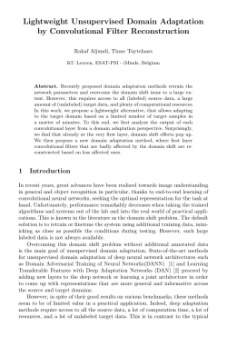 Lightweight Unsupervised Domain Adaptation by - ADAS-CVC