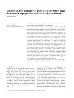 Evolution and biogeography of primates: a new